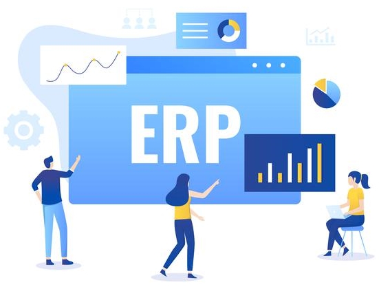 overview of erp solution for logistics firms